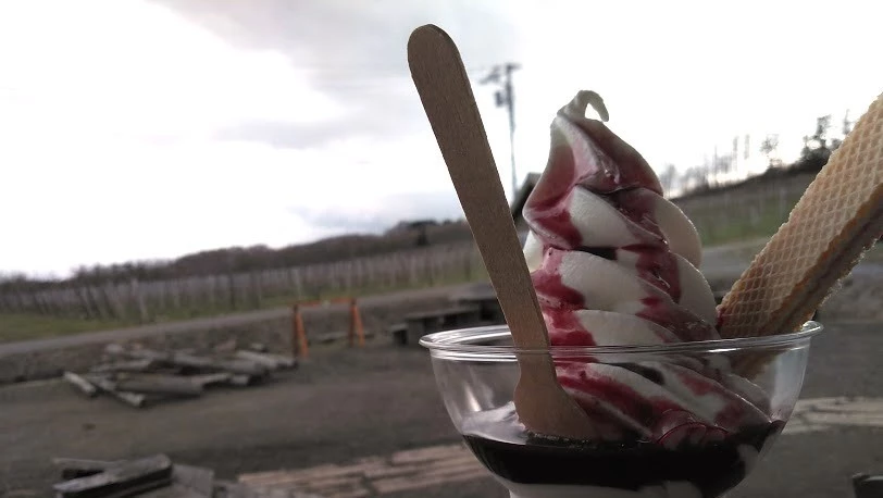 Hosui Winery Enjoy Soft Serve Ice Cream While Looking at the Fields